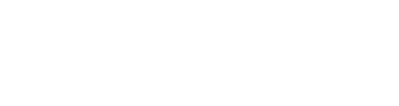 logo pagonxt